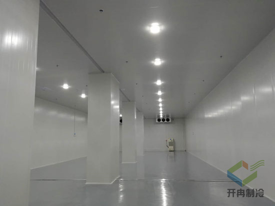 建設醫藥包裝自動化冷庫安裝，自動化冷藏庫有哪些優點？